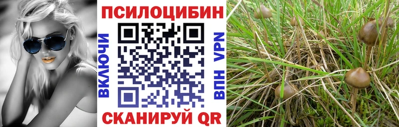Галлюциногенные грибы GOLDEN TEACHER Енисейск