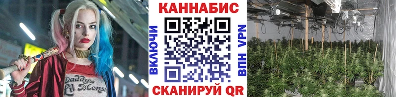Конопля AK-47  где можно купить наркотик  это какой сайт  Енисейск  MEGA как зайти 